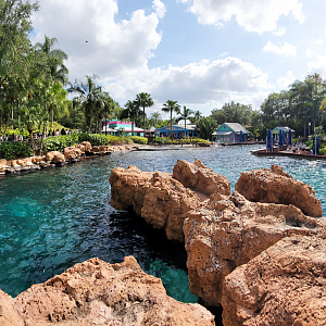 May. 2021 - Dolphin Cove - Panorama