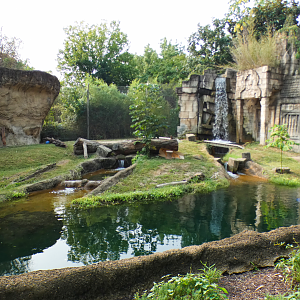 Sep. 2021 - Cat Country - Sumatran Tiger/Bengal Tiger Exhibit
