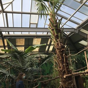 Refurbished brilliant bird house