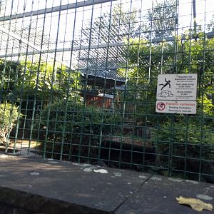 Kirks Dik Dik Enclosure