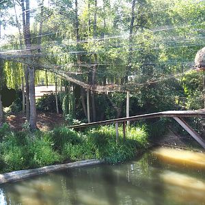 Oriental white stork aviary, 2021-09-03