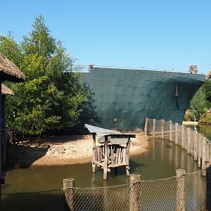 Smaller Western pygmy hippopotamus exhibit, 2021-09-03