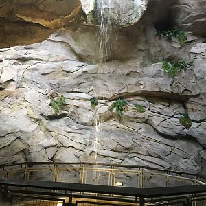Indoor Waterfall