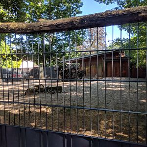 Goitered Gazelle Enclosure