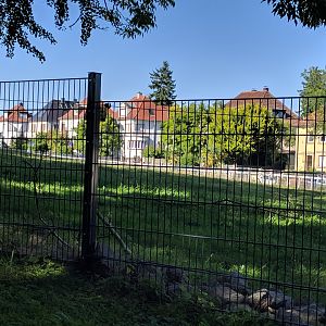 Dromedary Camel Enclosure