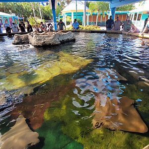 May. 2021 - Stingray Lagoon