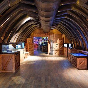 entrance to dinosaur room