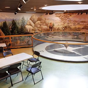 Foucault pendulum and taxidermy diorama
