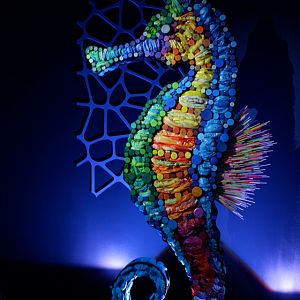 recycled plastic seahorse