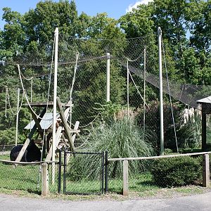 javan gibbon exhibit