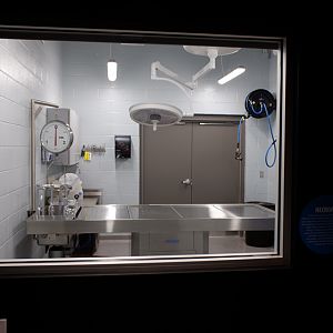 surgery room (public viewing)