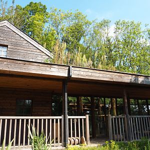 Outside of Koala and Small marsupial house (Currently closed and without koalas), 2021-09-02