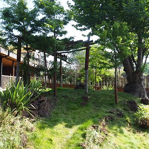 Outdoor exhibit next to the Koala and Small marsupial house, currently housing Western brush-tailed bettongs, 2021-09-02