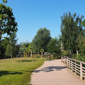 Kangaroo walk-through area and viewing area for the cassowary exhibits, 2021-09-03