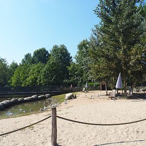 African penguin beach, 2021-09-03