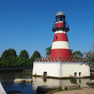 Cambron-by-the-Sea Lighthouse and part of the Eastern Atlantic harbour seal and African penguin exhibit, 2021-09-03