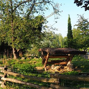 Angora goat paddock near the aquarium building, 2021-09-03