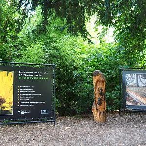 Part of the new educational exhibition on pollinators, 2021-09-02