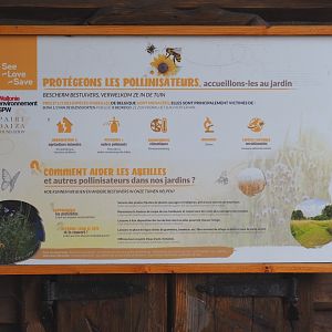 Sign about protecting and providing habitat for pollinators in gardens, 2021-09-02