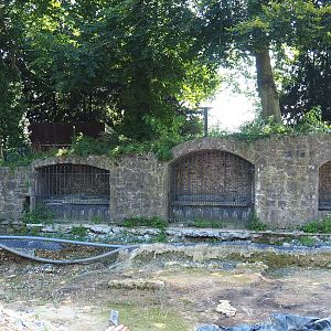 Historical abbey wall along archaeological dig site (Normally the raptor show area), 2021-09-02
