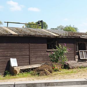 Disused falconry mews, 2021-09-02
