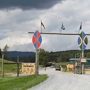 entrance to drive-thru