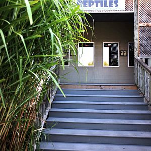 reptile building in safari village