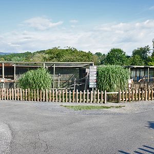 aviairies in safari village