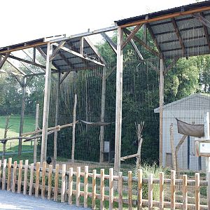 spider monkey exhibit