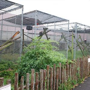 outdated monkey cages