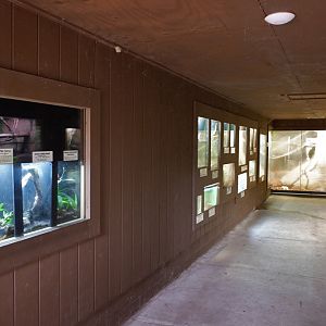 reptile hall (small exhibits)