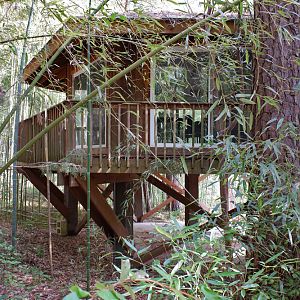 observation deck (in lemur forest)
