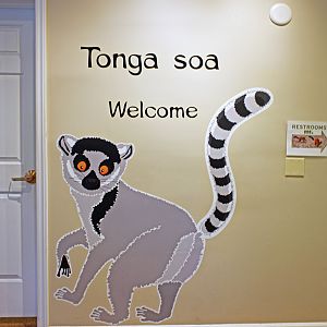 wall inside gift shop