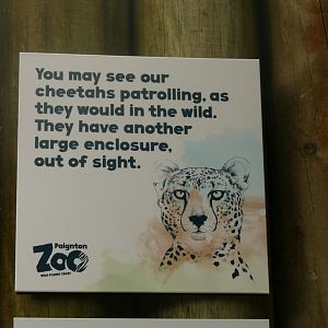 Cheetah sign, September 2021
