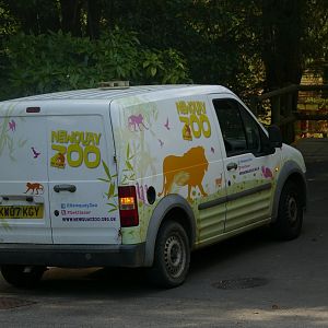 New arrivals, September 2021