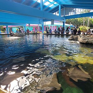 May. 2021 - Stingray Lagoon