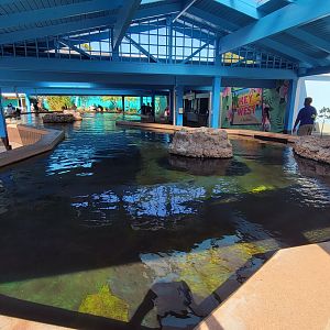 May. 2021 - Stingray Lagoon