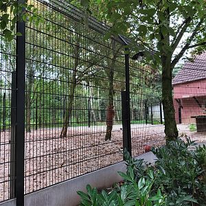 Renovated white lion enclosure