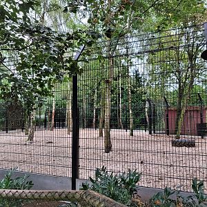 Renovated white lion enclosure