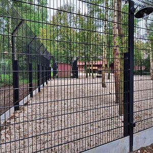 Renovated white lion enclosure