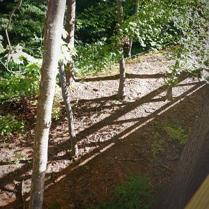 Okapi expansion site at the Greensboro Science Center