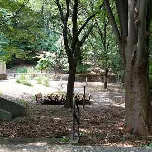 MD Zoo, Main Valley - Pawprint Park