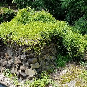 MD Zoo, Main Valley - Former polar bear exhibit