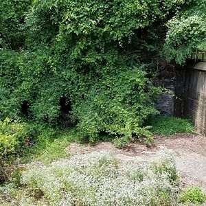MD Zoo, Main Valley - Former polar bear exhibit