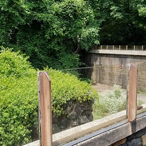 MD Zoo, Main Valley - Former polar bear exhibit