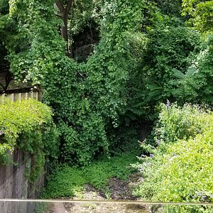 MD Zoo, Main Valley - Former polar bear exhibit