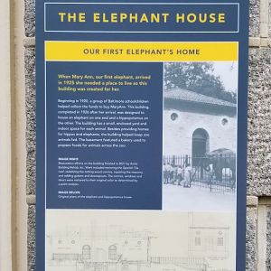 MD Zoo, Main Valley - Elephant House sign, new