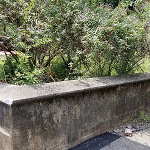 MD Zoo, Main Valley - Former exhibit, most recently held prairie dogs