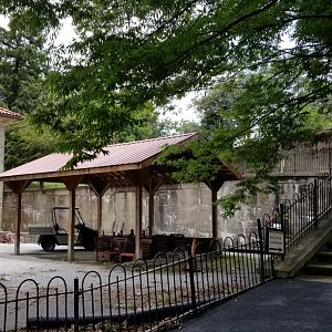 MD Zoo, Main Valley - Right side of elephant yard