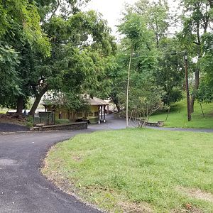 MD Zoo, Main Valley - looking back to former snack stand